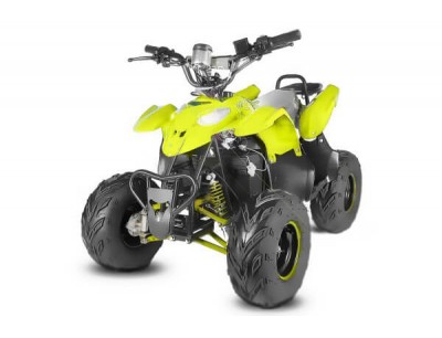 Electric quad sales bike 800w